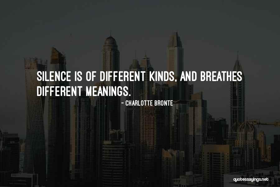 Different Meanings Quotes By Charlotte Bronte