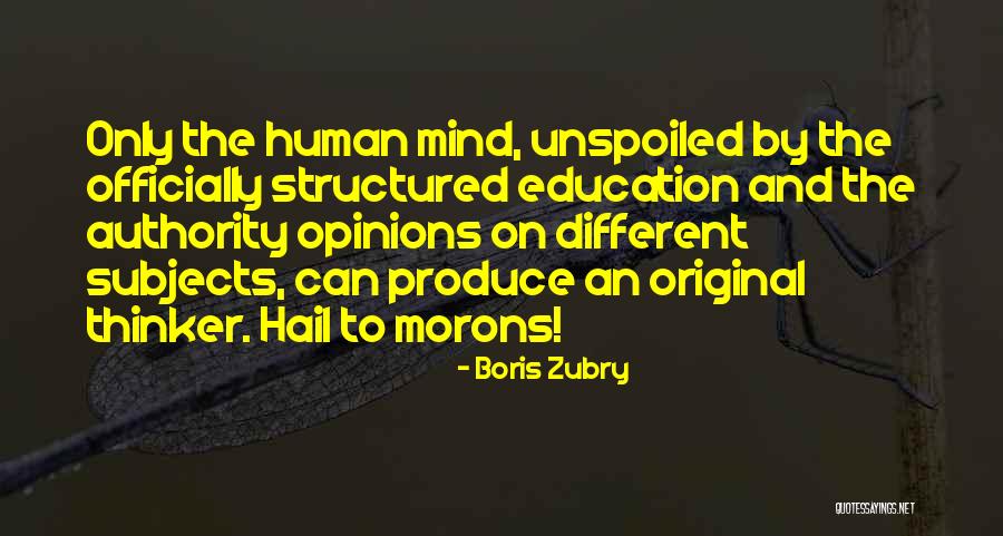 Different Opinions Quotes By Boris Zubry Different Opinions Quotes By Boris Zubry