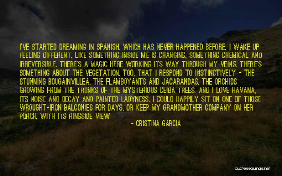 Different Orchids Quotes By Cristina Garcia Different Orchids Quotes By Cristina Garcia