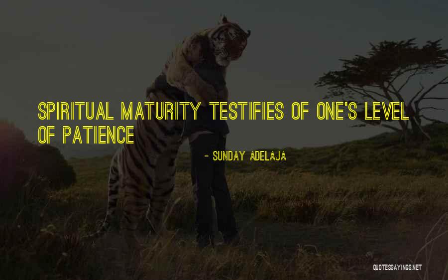 Different Organizational Patterns Quotes By Sunday Adelaja