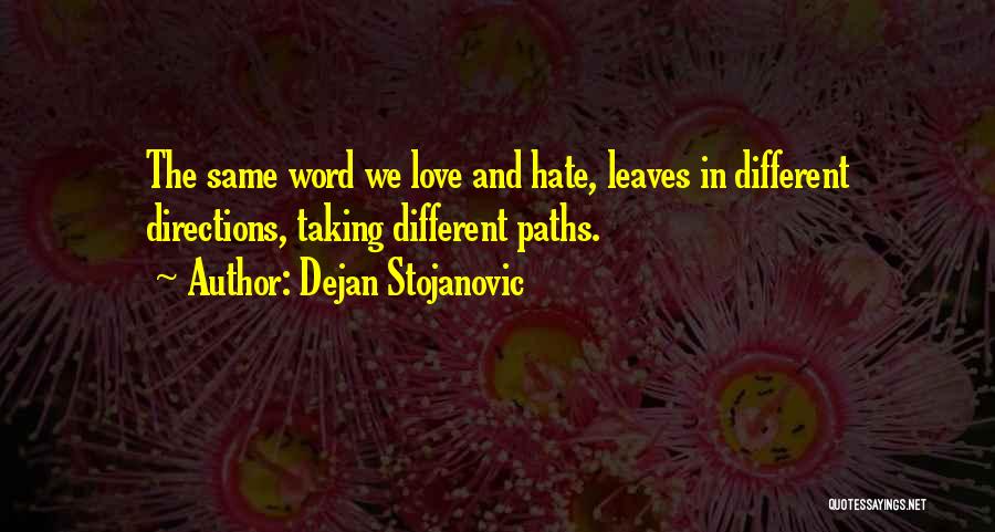 Different Paths Quotes By Dejan Stojanovic