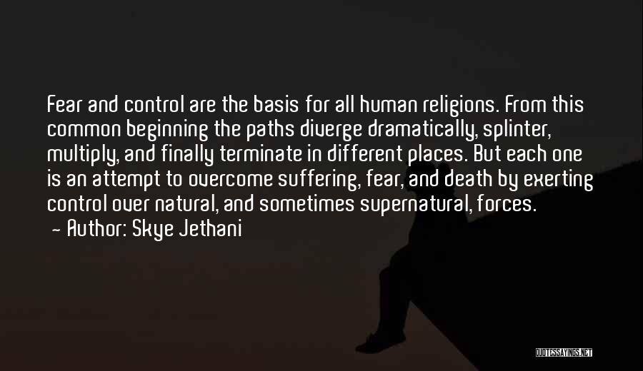 Different Paths Quotes By Skye Jethani