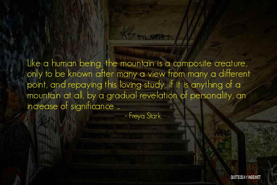 Different Point Of View Quotes By Freya Stark Different Point Of View Quotes By Freya Stark