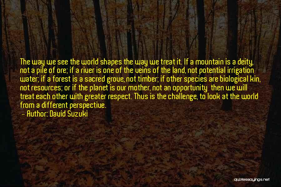 Different Shapes Quotes By David Suzuki