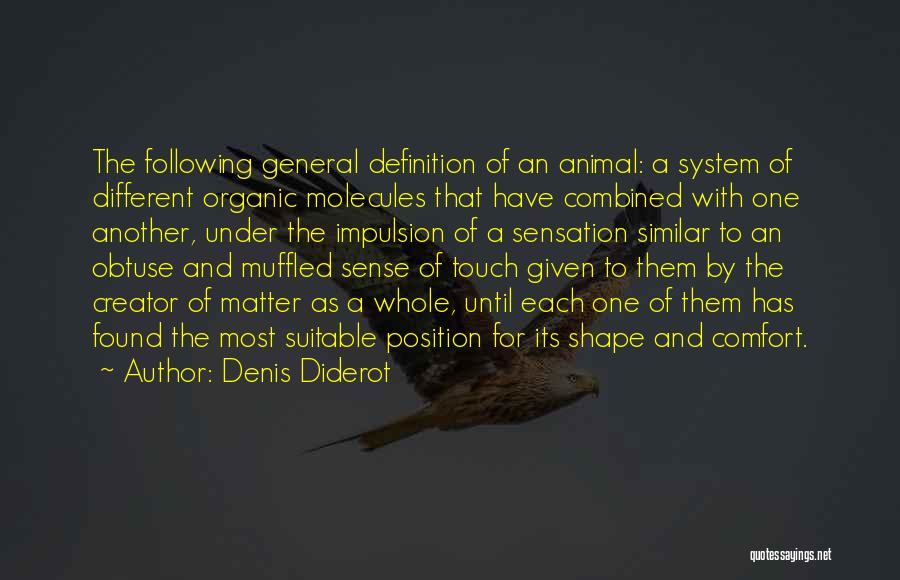 Different Shapes Quotes By Denis Diderot