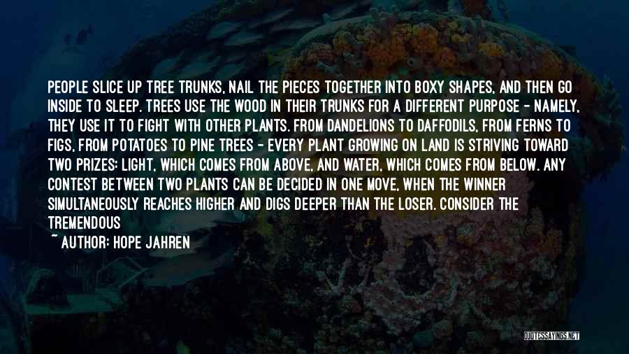 Different Shapes Quotes By Hope Jahren