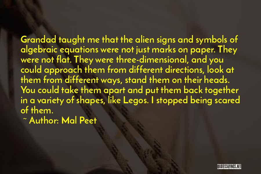 Different Shapes Quotes By Mal Peet