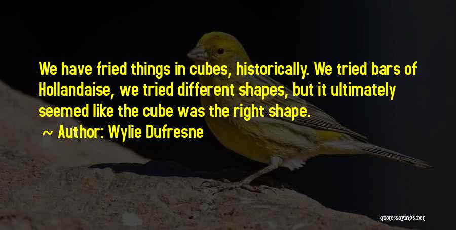 Different Shapes Quotes By Wylie Dufresne