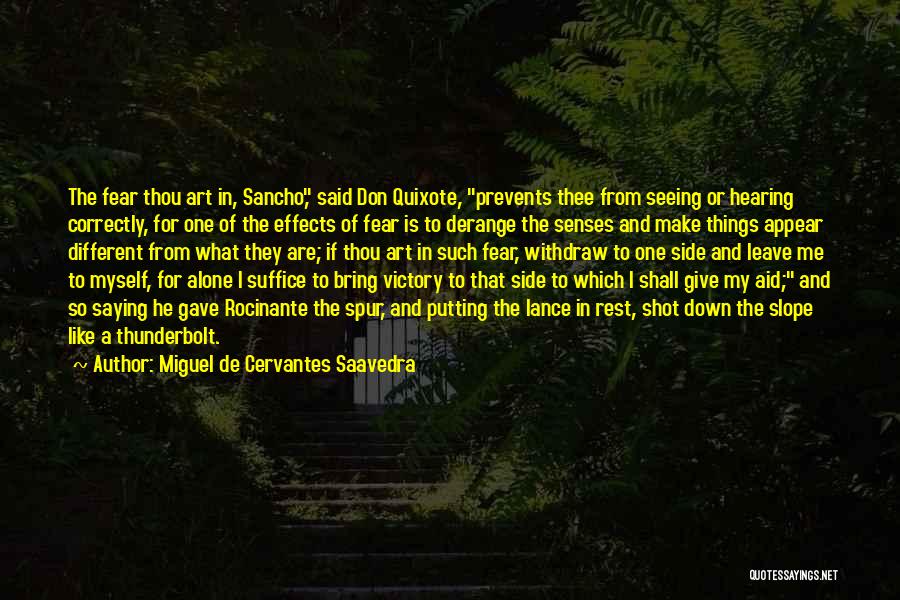 Different Side Of Me Quotes By Miguel De Cervantes Saavedra