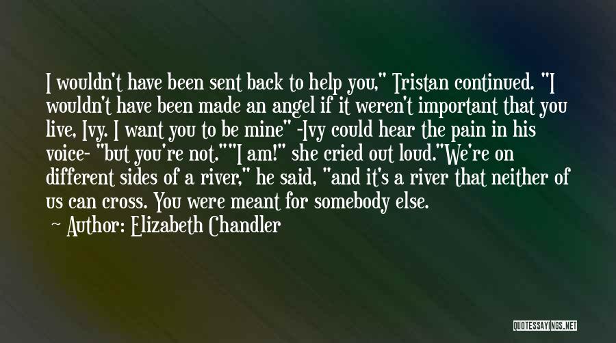 Different Sides Of You Quotes By Elizabeth Chandler