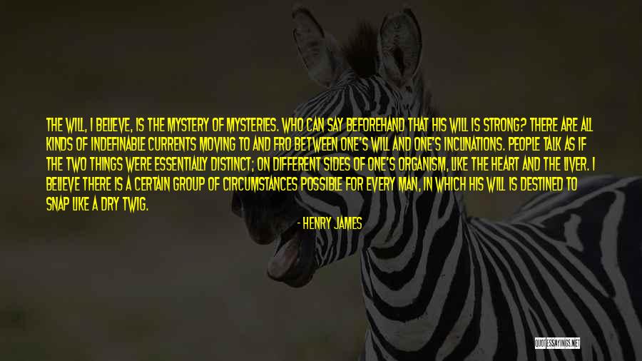 Different Sides Quotes By Henry James