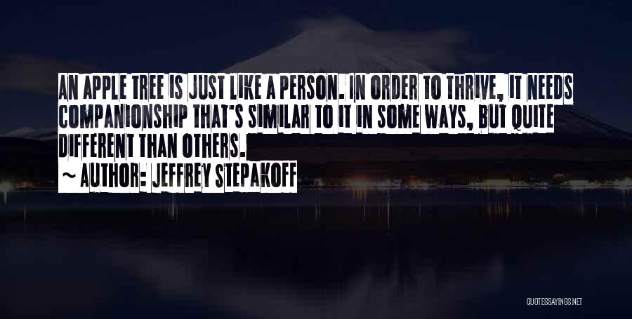 Different Than Others Quotes By Jeffrey Stepakoff