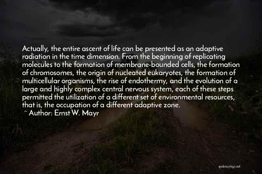 Different Time Zone Quotes By Ernst W. Mayr