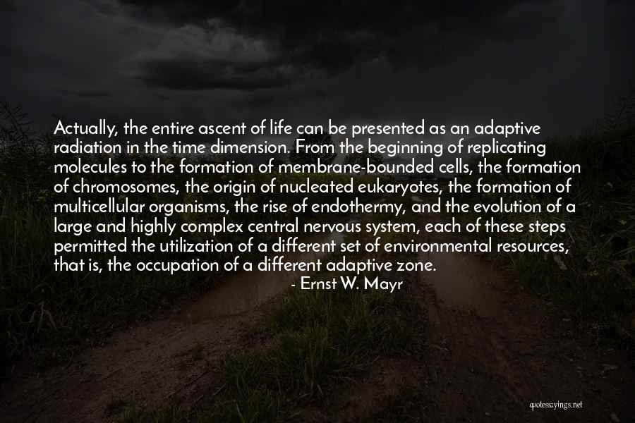 Different Time Zone Quotes By Ernst W. Mayr