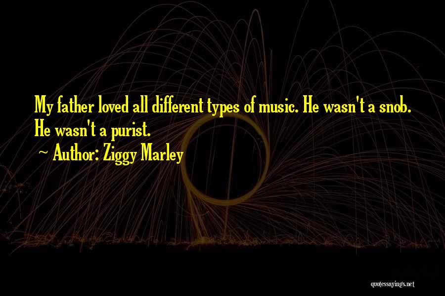 Different Types Of Music Quotes By Ziggy Marley