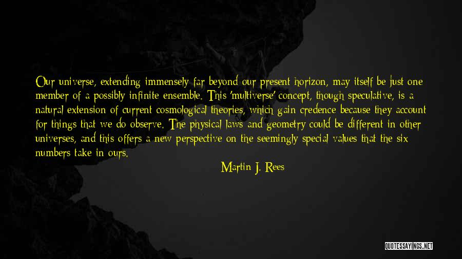 Different Universes Quotes By Martin J. Rees