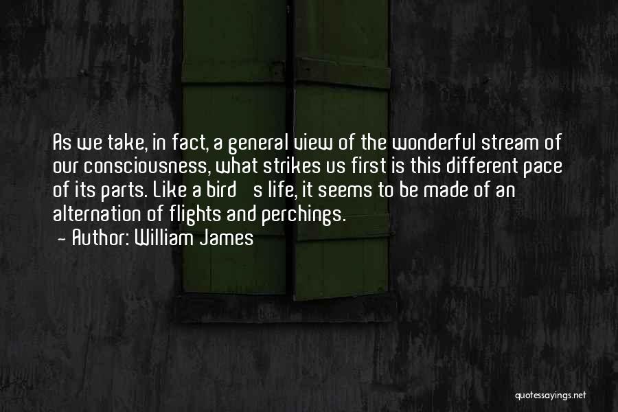 Different Views Of Life Quotes By William James