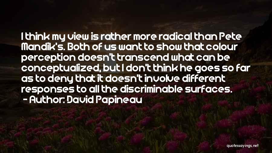 Different Views Quotes By David Papineau