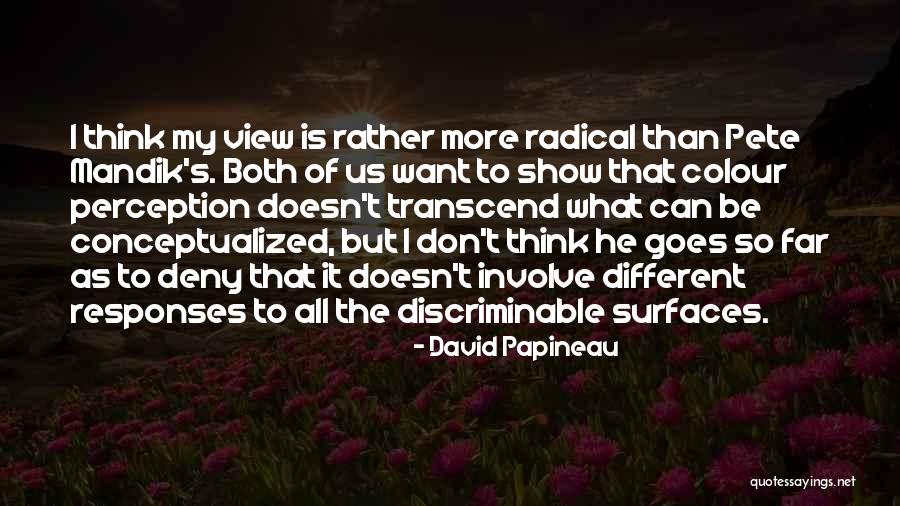 Different Views Quotes By David Papineau Different Views Quotes By David Papineau
