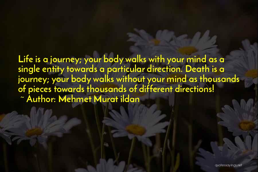 Different Walks Of Life Quotes By Mehmet Murat Ildan