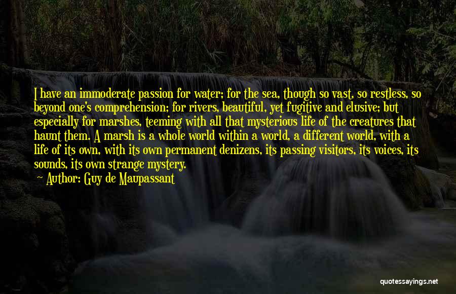 Different World Love Quotes By Guy De Maupassant