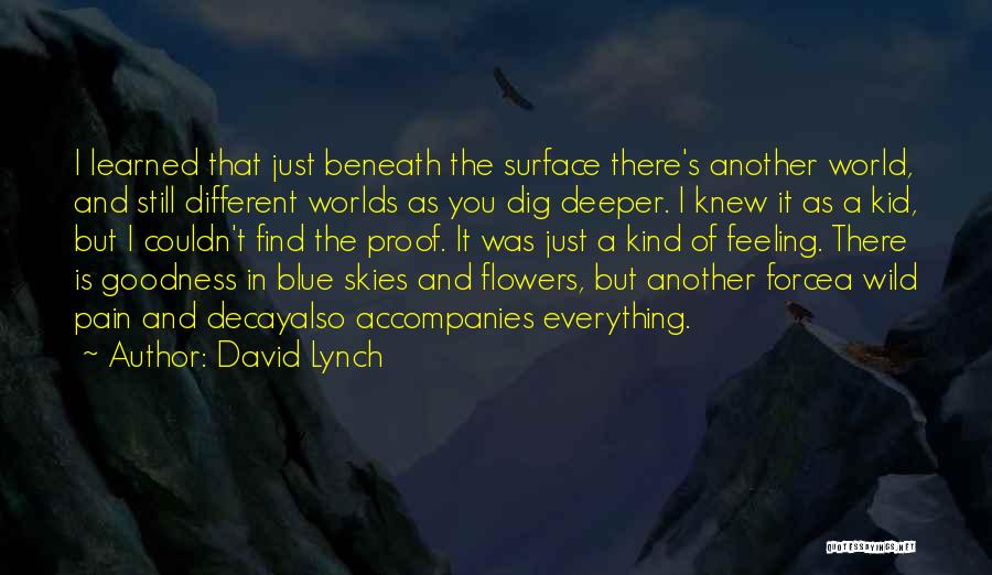 Different Worlds Quotes By David Lynch