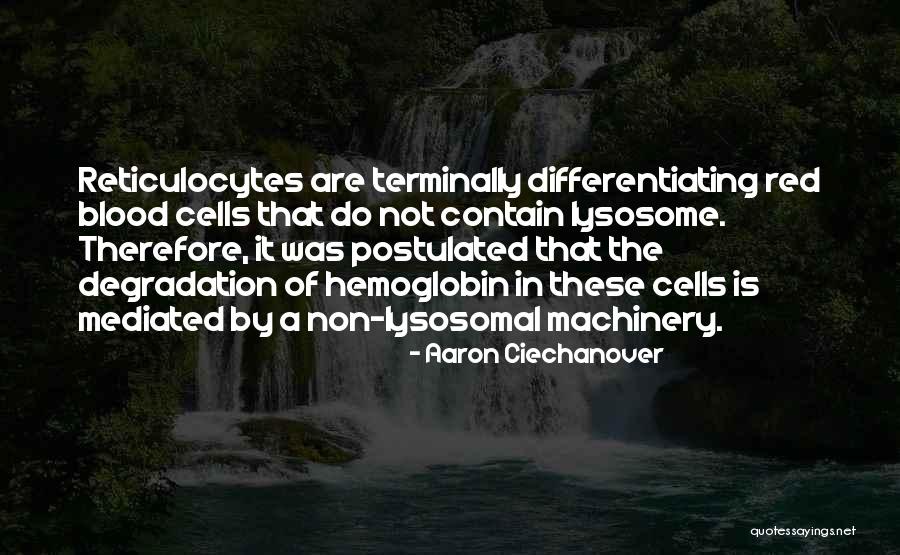 Differentiating Yourself Quotes By Aaron Ciechanover