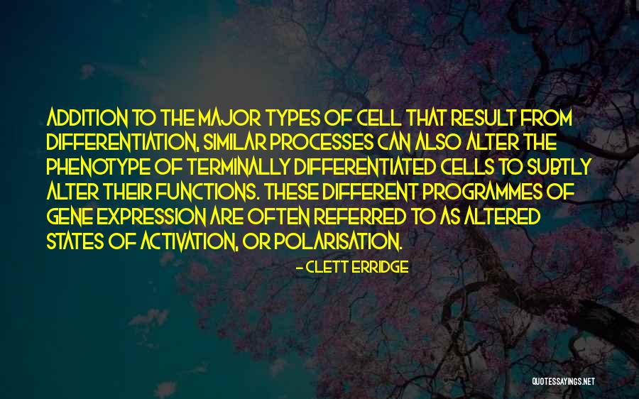 Differentiation Quotes By Clett Erridge Differentiation Quotes By Clett Erridge