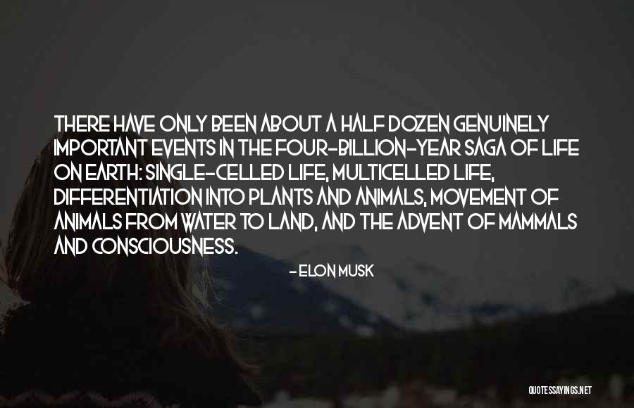 Differentiation Quotes By Elon Musk Differentiation Quotes By Elon Musk