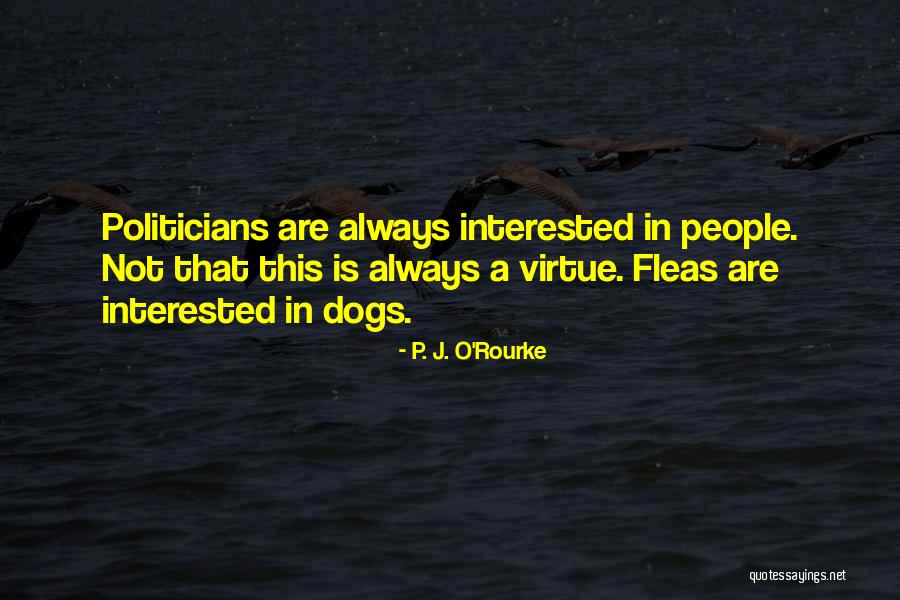 Differing Politics Quotes By P. J. O'Rourke Differing Politics Quotes By P. J. O'Rourke