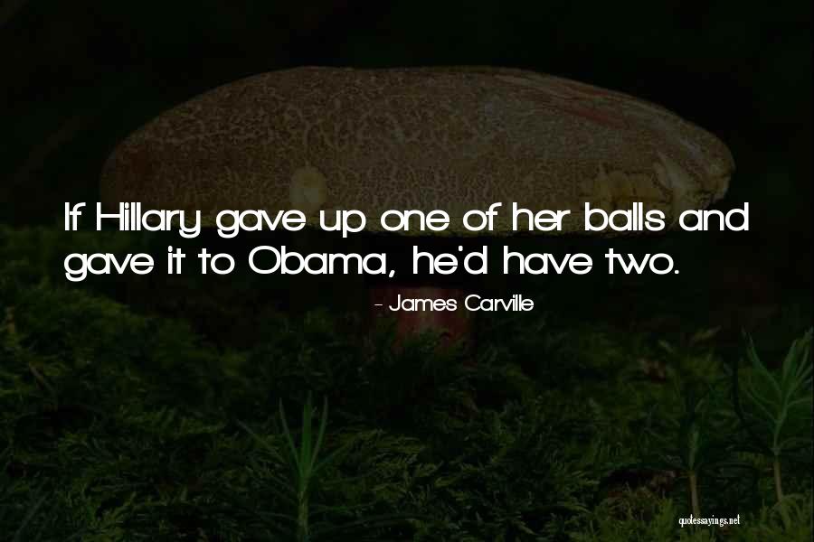 Differing Views Quotes By James Carville Differing Views Quotes By James Carville