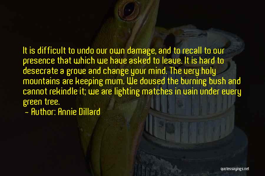 Difficult Change Quotes By Annie Dillard