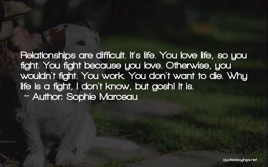 Difficult Love Relationships Quotes By Sophie Marceau