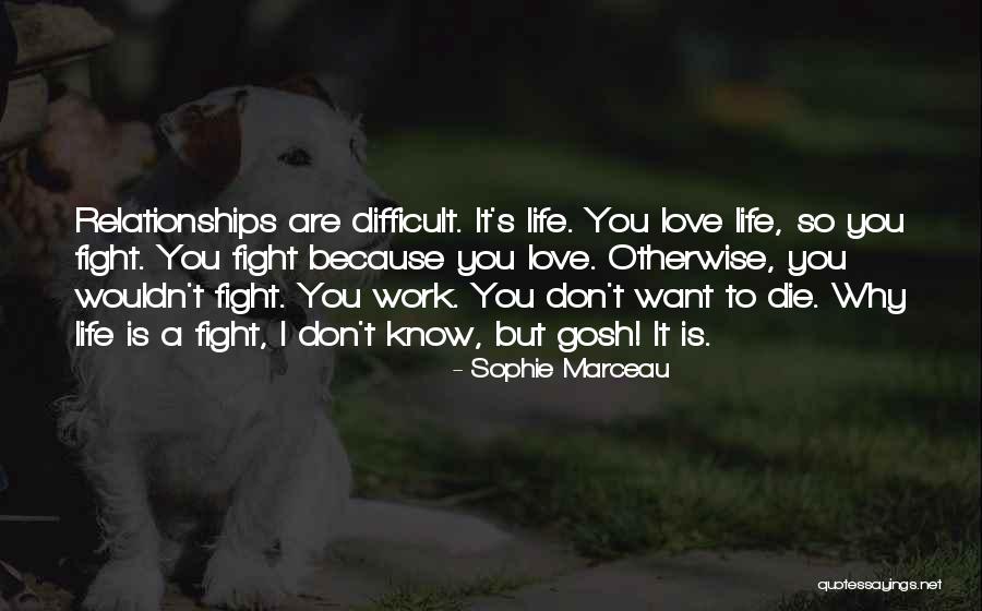 Difficult Love Relationships Quotes By Sophie Marceau