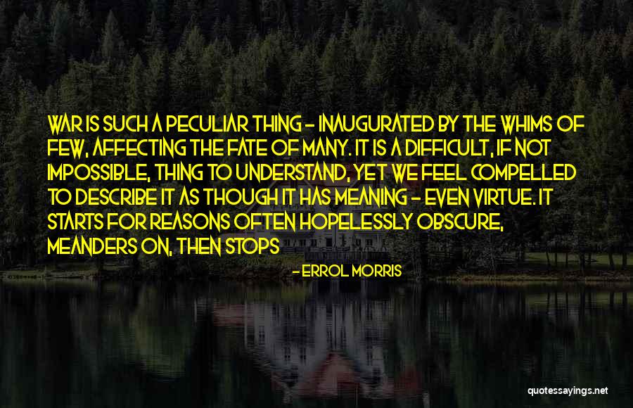 Difficult Not Impossible Quotes By Errol Morris