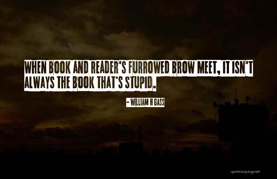 Difficult Reading Quotes By William H Gass Difficult Reading Quotes By William H Gass