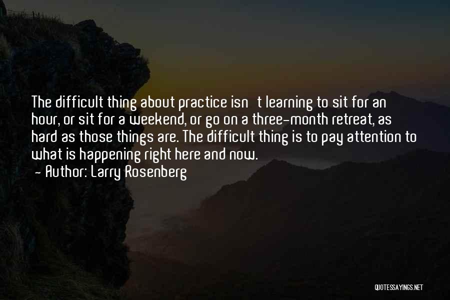 Difficult Things Quotes By Larry Rosenberg