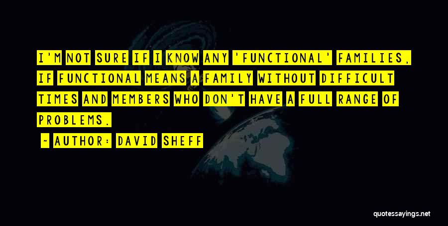 Difficult Times With Family Quotes By David Sheff