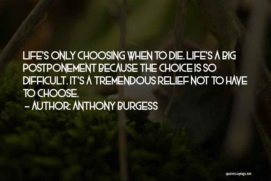 Difficult To Choose Quotes By Anthony Burgess