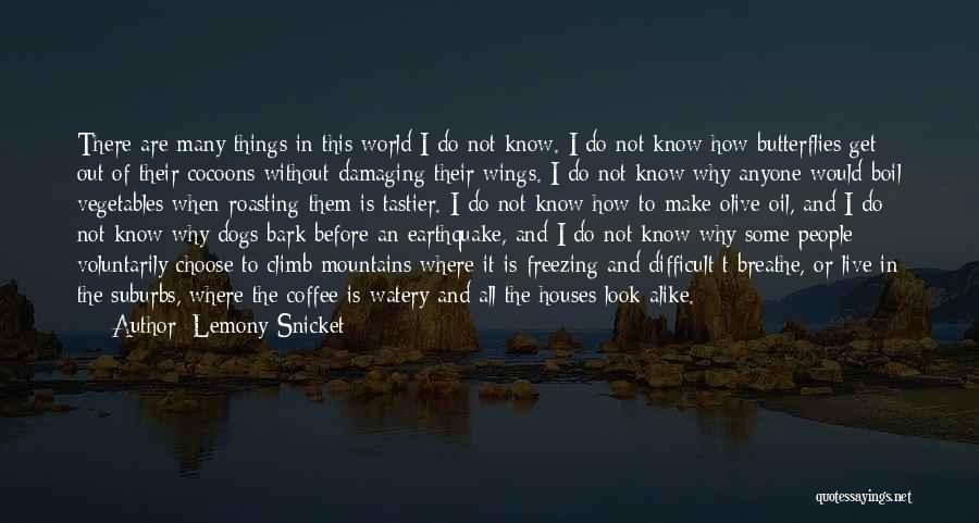 Difficult To Choose Quotes By Lemony Snicket