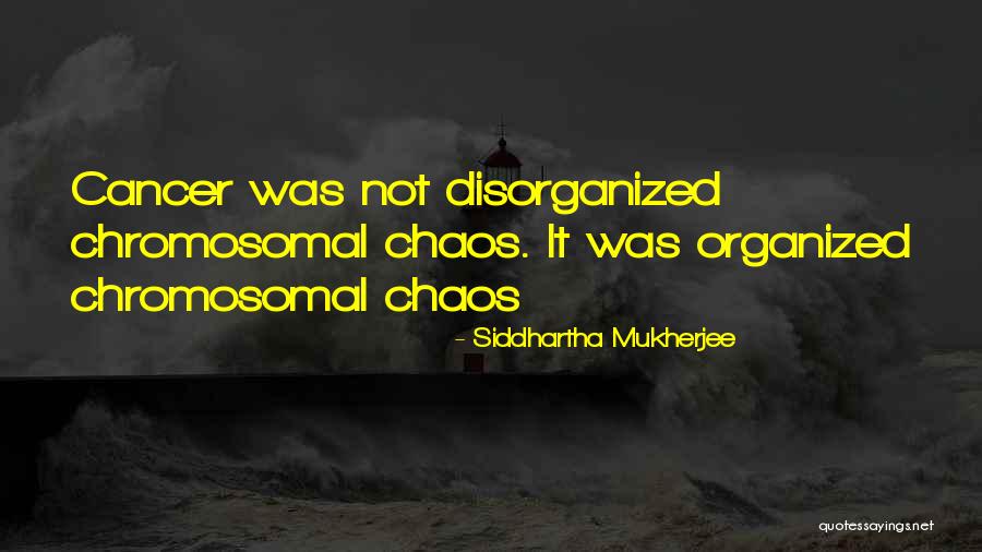 Difficult To Cure Quotes By Siddhartha Mukherjee Difficult To Cure Quotes By Siddhartha Mukherjee