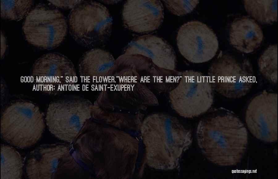 Difficult To Find Quotes By Antoine De Saint-Exupery