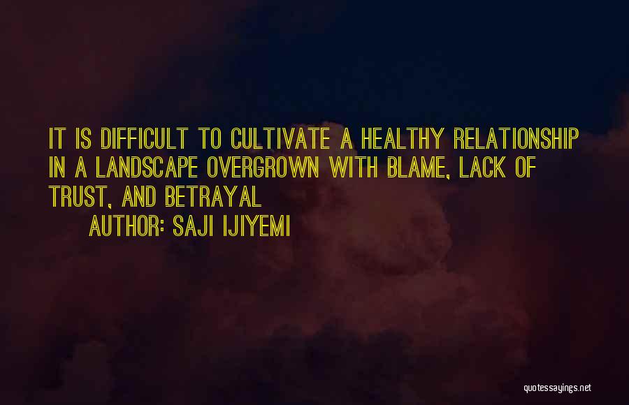 Difficult To Trust Quotes By Saji Ijiyemi
