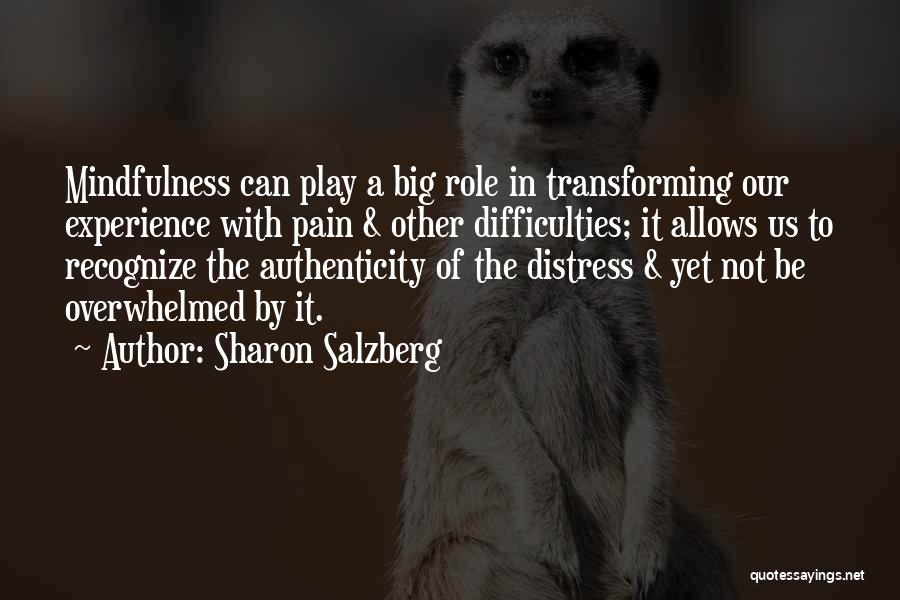 Difficulties In Love Quotes By Sharon Salzberg