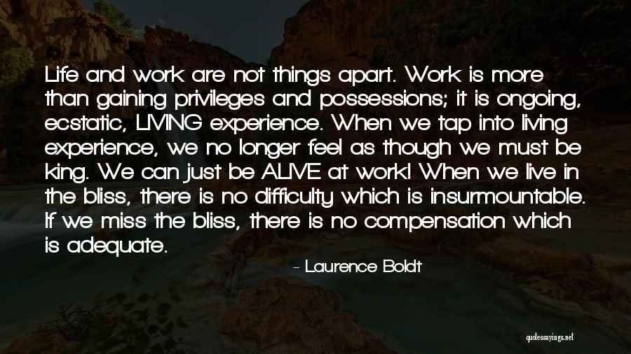 Difficulty At Work Quotes By Laurence Boldt