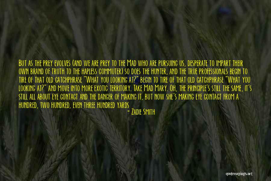 Diffident Synonym Quotes By Zadie Smith Diffident Synonym Quotes By Zadie Smith