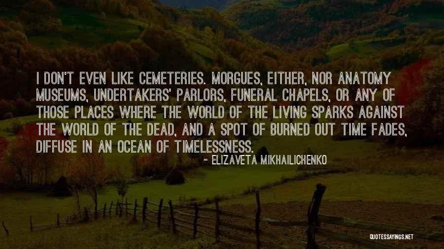 Diffuse Quotes By Elizaveta Mikhailichenko Diffuse Quotes By Elizaveta Mikhailichenko