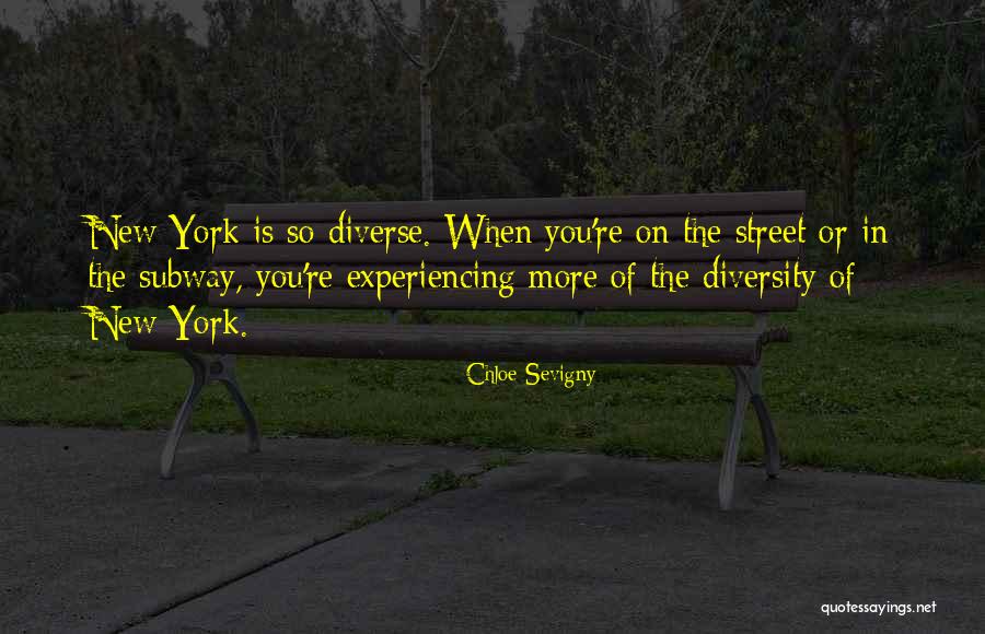 Diffusiveness Quotes By Chloe Sevigny Diffusiveness Quotes By Chloe Sevigny
