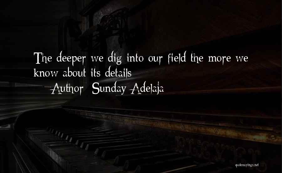 Dig Deeper Quotes By Sunday Adelaja