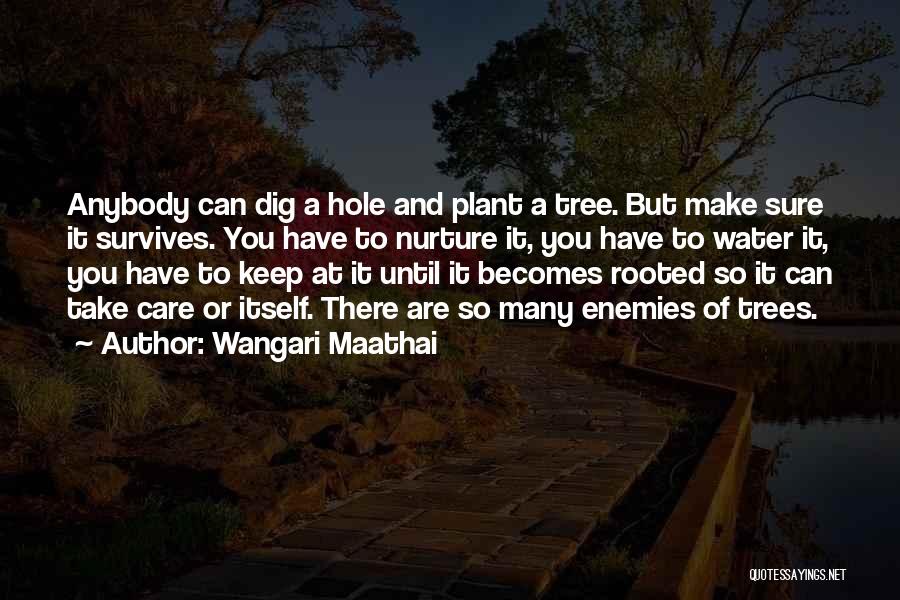 Dig Quotes By Wangari Maathai